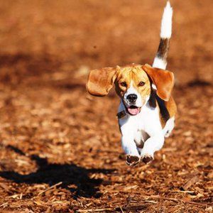 Meet your Posher, Pam